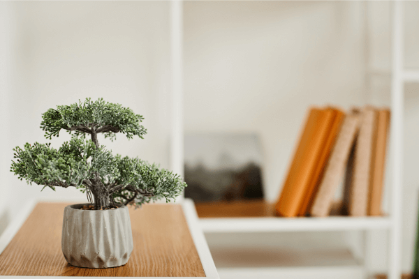 Foto de uma decoração com um bonsai.